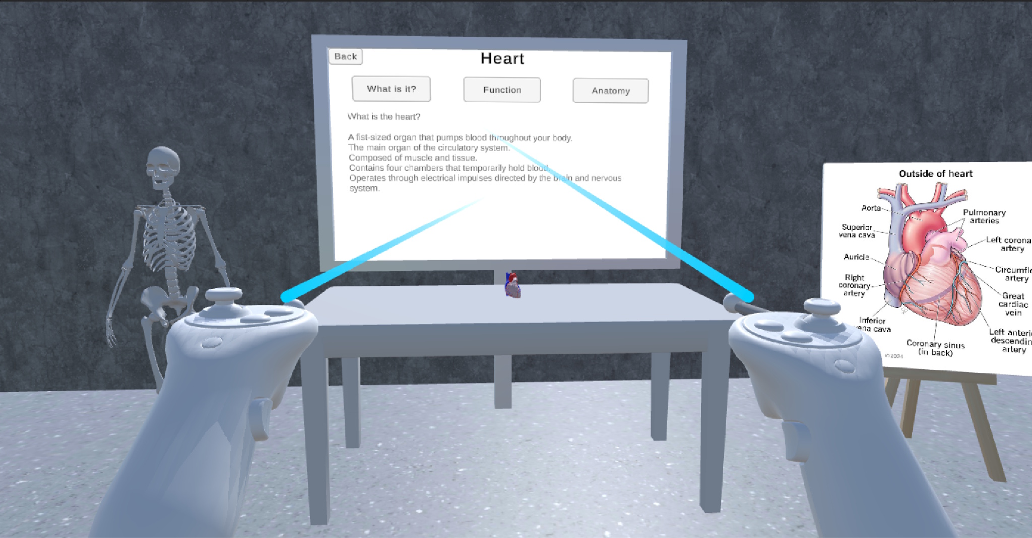 Main organ information view in the VR classroom
