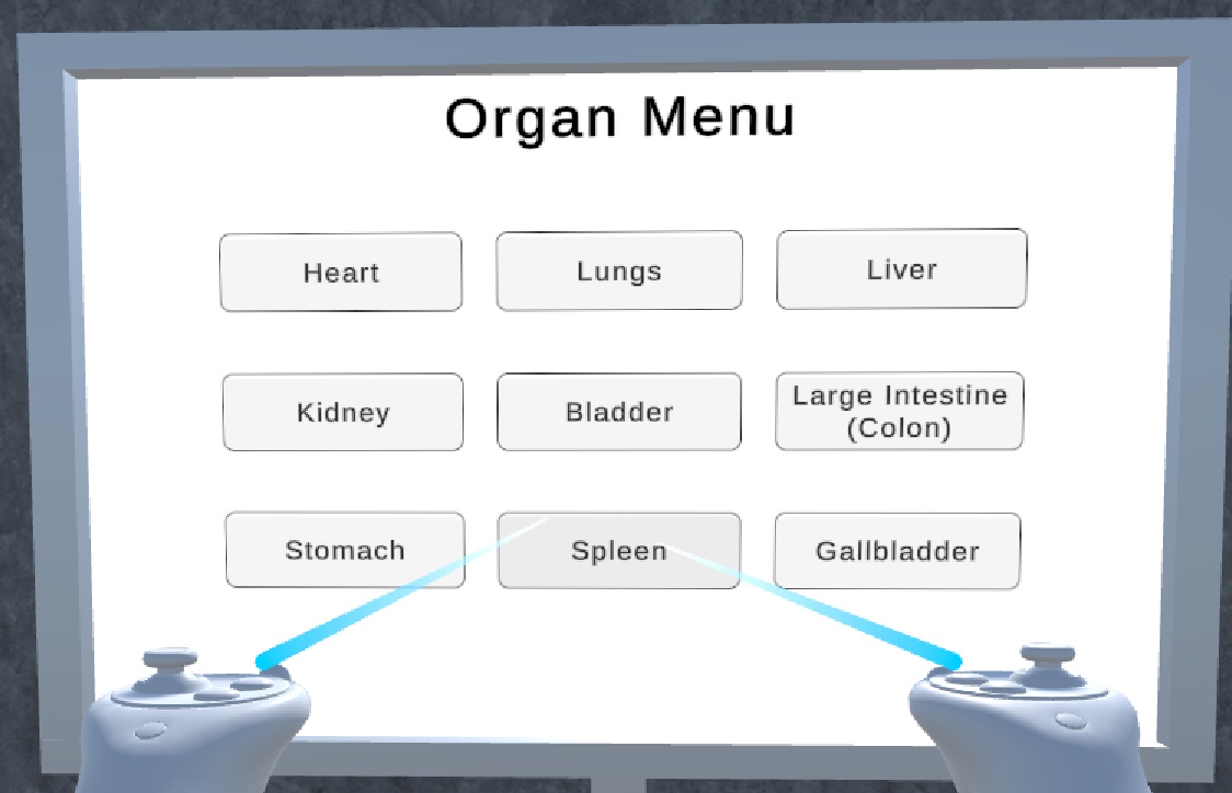 Organ menu in the VR application